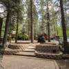 Big Bear's Best