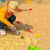 Fossilienfund