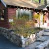 Cozy Hollow Lodge & Ferienvermietung