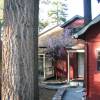 Cozy Hollow Lodge & Ferienvermietung