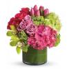 Kleines grünes Haus Florist