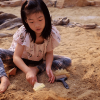Fossilienfund