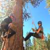 Action Zipline-Touren