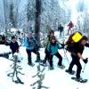 Action Zipline-Touren