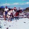 Baldwin Lake Stables & Streichelzoo