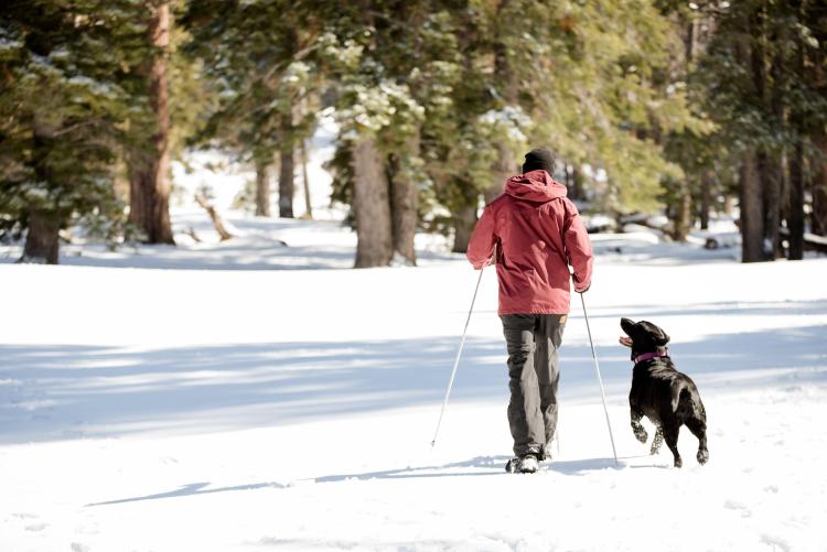 Ein schwarzer Hund, der mit seinem Besitzer, der einen dicken roten Mantel trägt und Wanderstöcke hält, im verschneiten Winter spazieren geht.