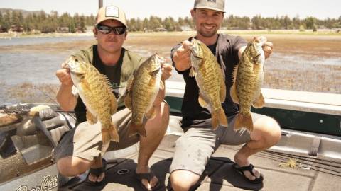 Bass Fishing im Big Bear Lake