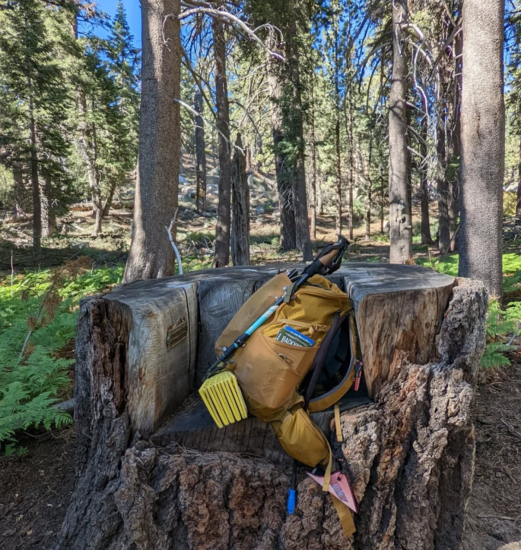 Eine Tasche mit Wanderausrüstung ruht in einer stuhlartigen Vertiefung in einem Baumstumpf, dahinter liegt ein dichter Wald mit Hügeln.