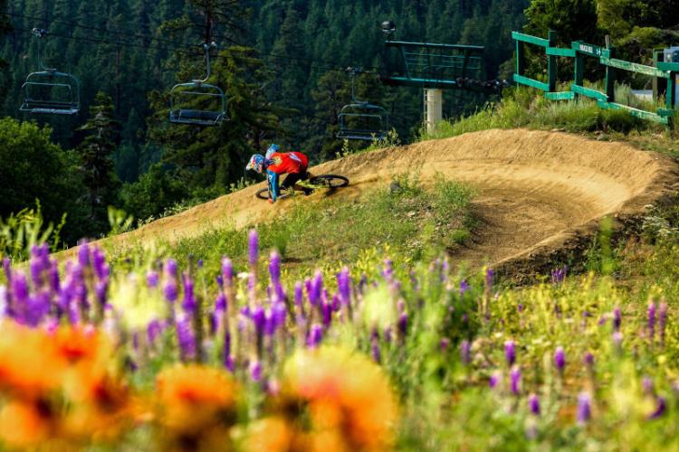 Ein Mountainbiker fährt eine steile Kurve im Summit Bike Park in Big Bear, CA, hinunter. Im Vordergrund sind bunte Wildblumen zu sehen.