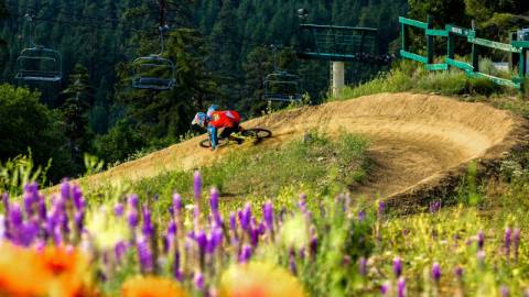 Ein Mountainbiker fährt eine steile Kurve im Summit Bike Park in Big Bear, CA, hinunter. Im Vordergrund sind bunte Wildblumen zu sehen.