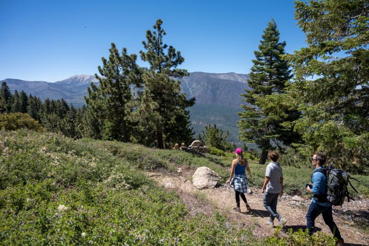 Eine dreiköpfige Familie geht auf einem Wanderweg in Big Bear, Kalifornien, spazieren. Sie sind umgeben von einem grünen Kiefernwald und dem klaren blauen Himmel.
