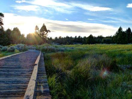 A photo of a wooden board walk path, the lush green grass and trees gently illuminated by the setting sun.