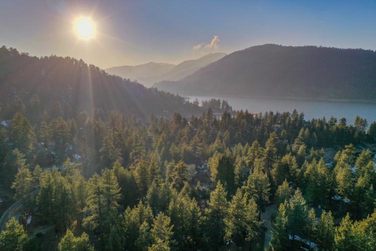 Ein grüner Kiefernwald führt zu einem blauen See. Die Sonne scheint und der Himmel ist klar.