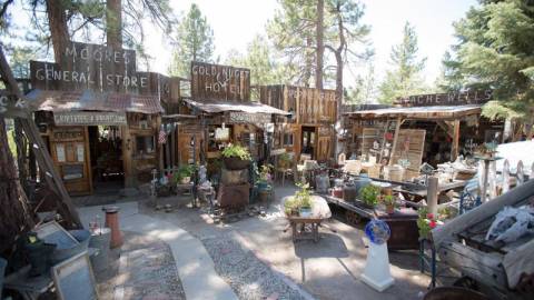 Antiquitäten- und Gebrauchtwarenladen in Big Bear Lake, CA