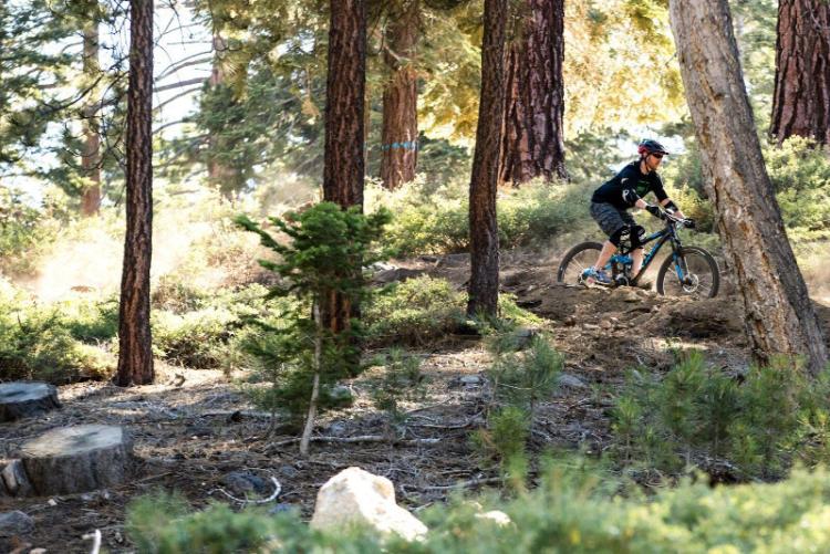 Ein Mann fährt mit dem Mountainbike in unwegsamem Gelände durch den Wald in Big Bear Lake, Kalifornien