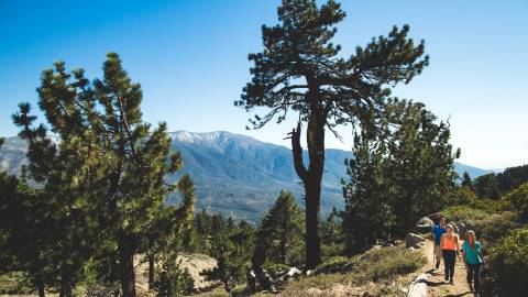 Eine Familie wandert im Frühling auf einem Pfad durch die Berge von Big Bear