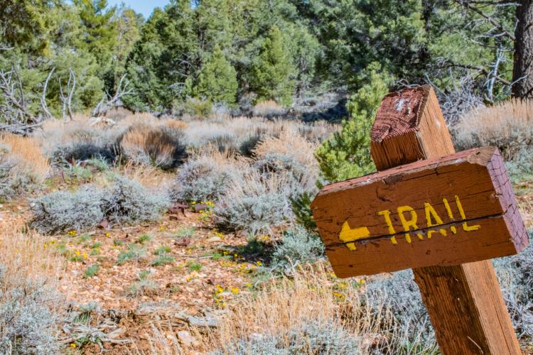 Eine hölzerne Markierung weist den Weg zu einem ausgewiesenen Wanderweg im Big Bear Lake, einem Teil des San Bernardino National Forest.