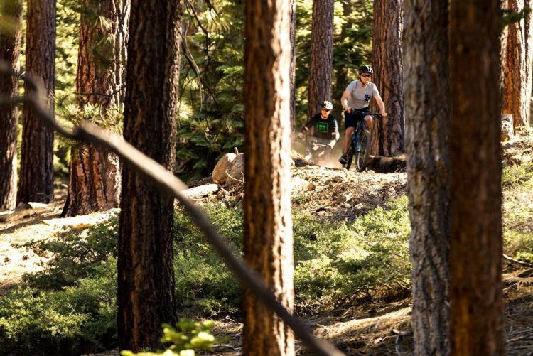 Mountainbiken ist eine beliebte Frühlingsaktivität