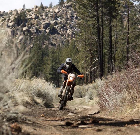 Ein Dirt-Bike-Fahrer rast auf seinem orangefarbenen Fahrrad einen unbefestigten Weg hinunter, hinter ihm liegen felsige Berge und Wälder.