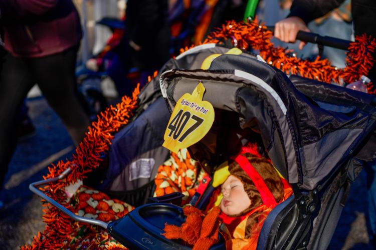 Ein Foto von einem Baby in einem Truthahnkostüm, das in einem Kinderwagen mit einer Läufernummer während des Thanksgiving Turkey Trot schläft.