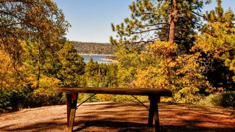 Bank auf dem Big Bear Pineknot Pfad