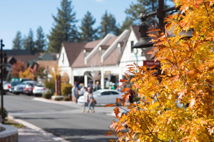Ein goldener Ahornbaum im Vordergrund von The Village at Big Bear Lake. Die Geschäfte des Village sind im Hintergrund verschwommen.