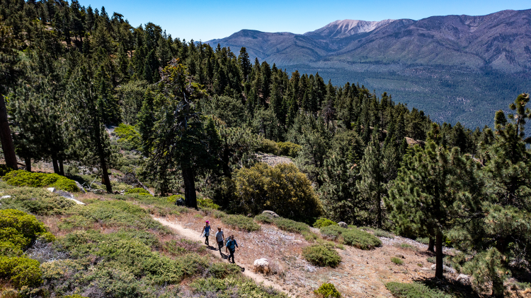 Familienwanderung auf dem Big Bear Lake Trail