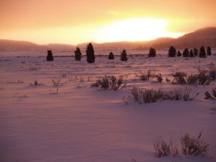 Eine schneebedeckte Landschaft bei Sonnenuntergang, durch die einige Pflanzen hindurchschimmern, in der Ferne sind die Berge zu sehen.