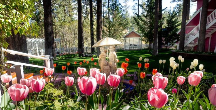 Rosa, orangefarbene und weiße Tulpen füllen den Vordergrund hinter einer Statue mit zwei Kindern. Gras und Kiefern füllen den Hintergrund.
